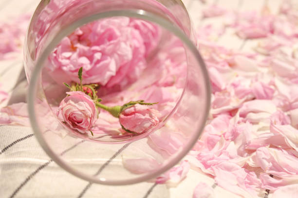 خرید گلاب صادراتی ربیع + قیمت فروش استثنایی